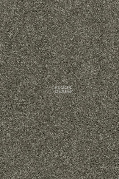 Ковролин AW Vivendi Punch 29 фото 1 | FLOORDEALER